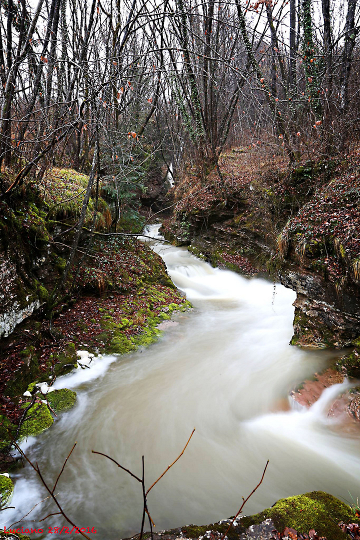 torrente