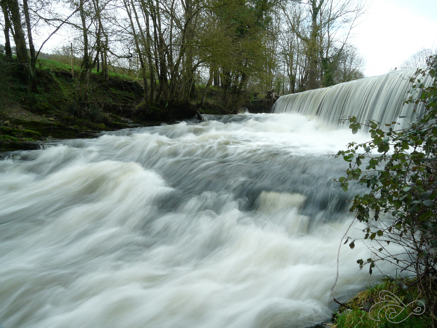 torrente