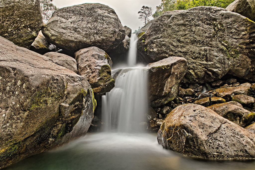 Torrente