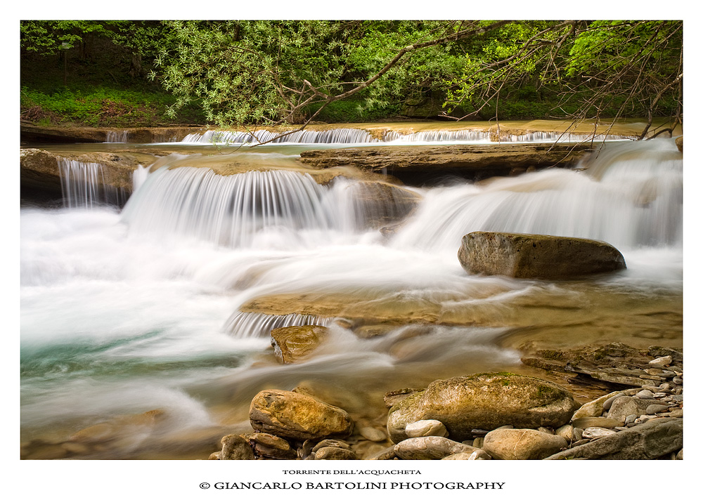 Torrente