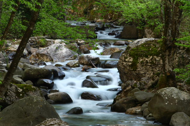 Torrente