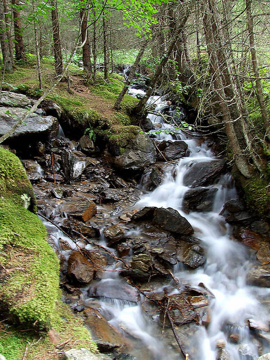 Torrente