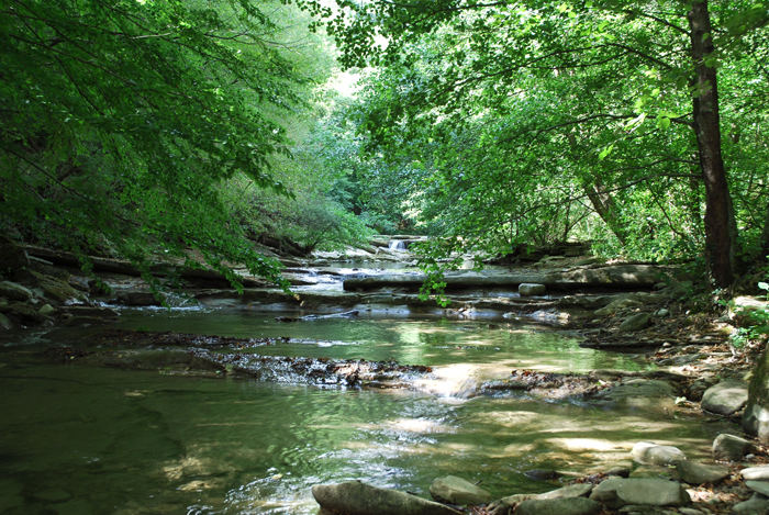 Torrente acquacheta