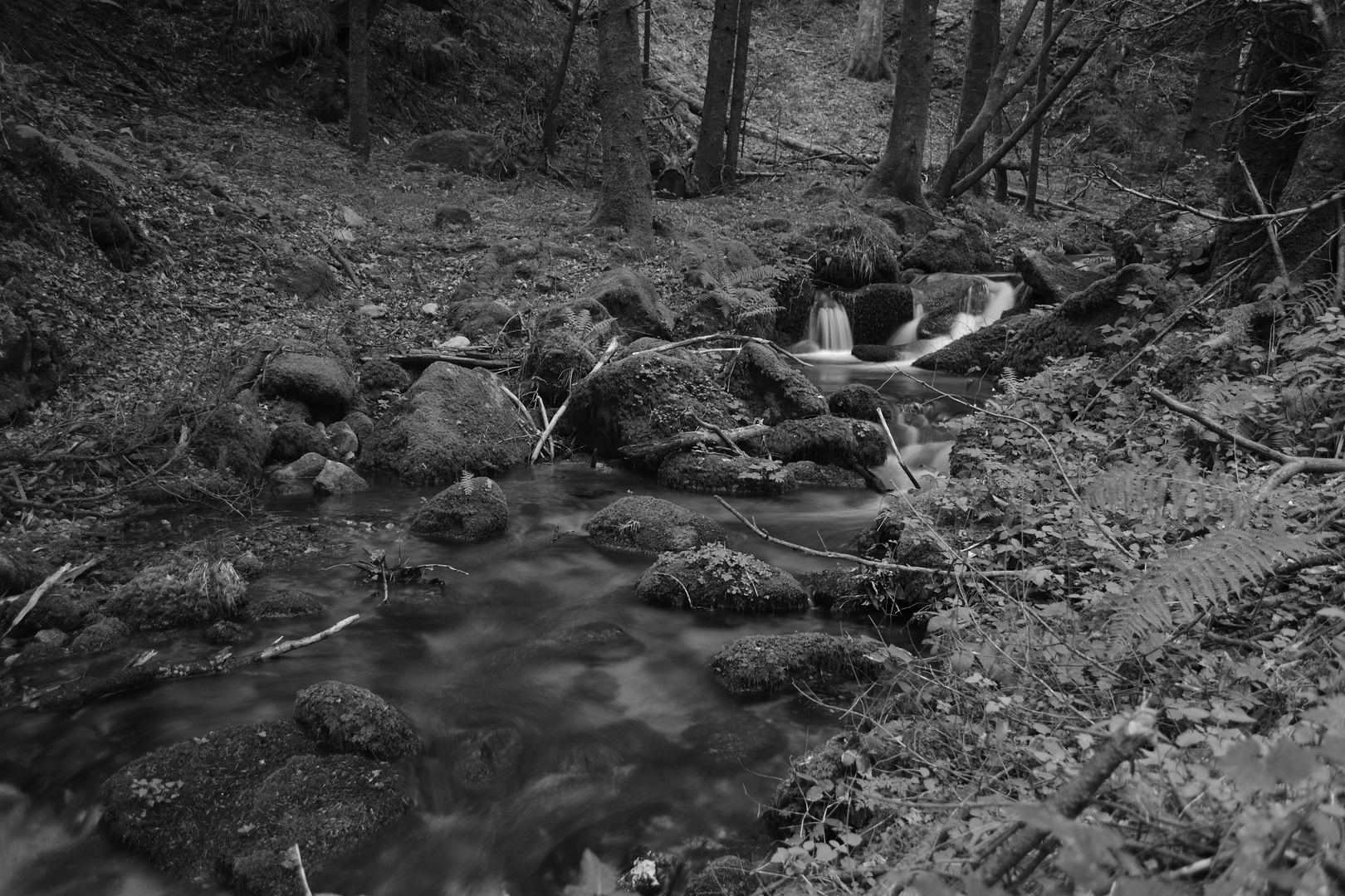 Torrente Ancinale (Monti delle Serre, Calabria)