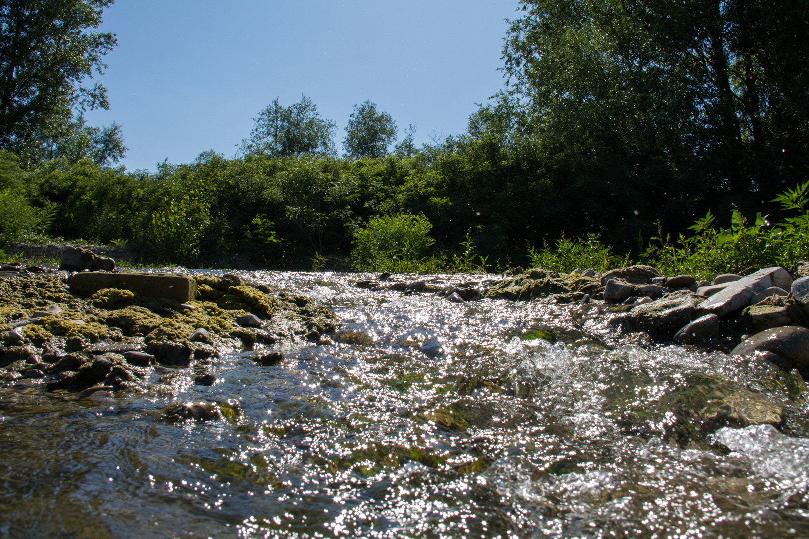 Torrente Arda a Fiorenzuola PC