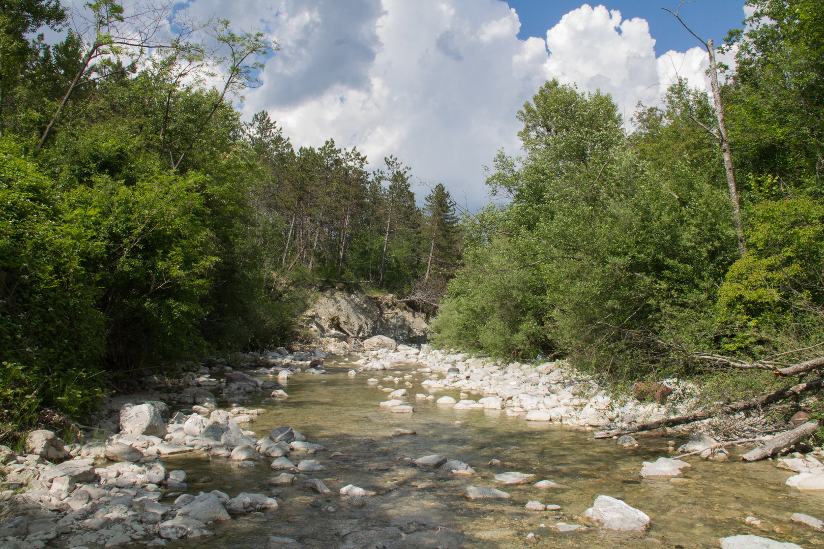 Torrente Arda loc. Bardetti di Morfasso PC