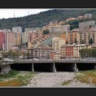 Torrente Bisagno, Genova