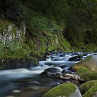 Torrente Cannobino