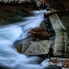 Torrente Cassarate, Lugano