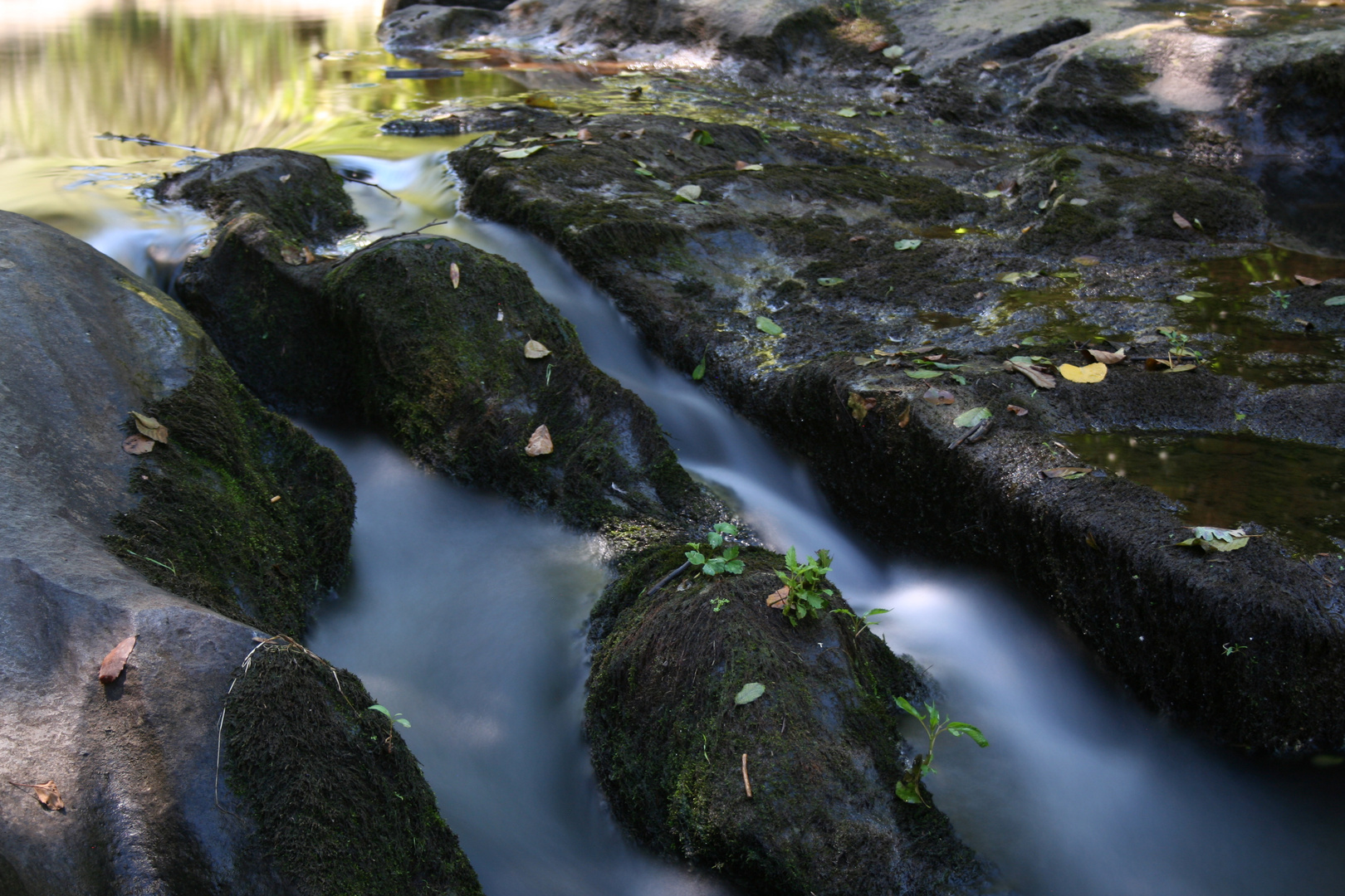 Torrente Castello VT