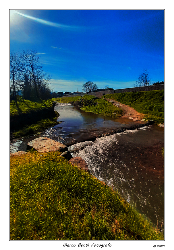 Torrente Cesto #1