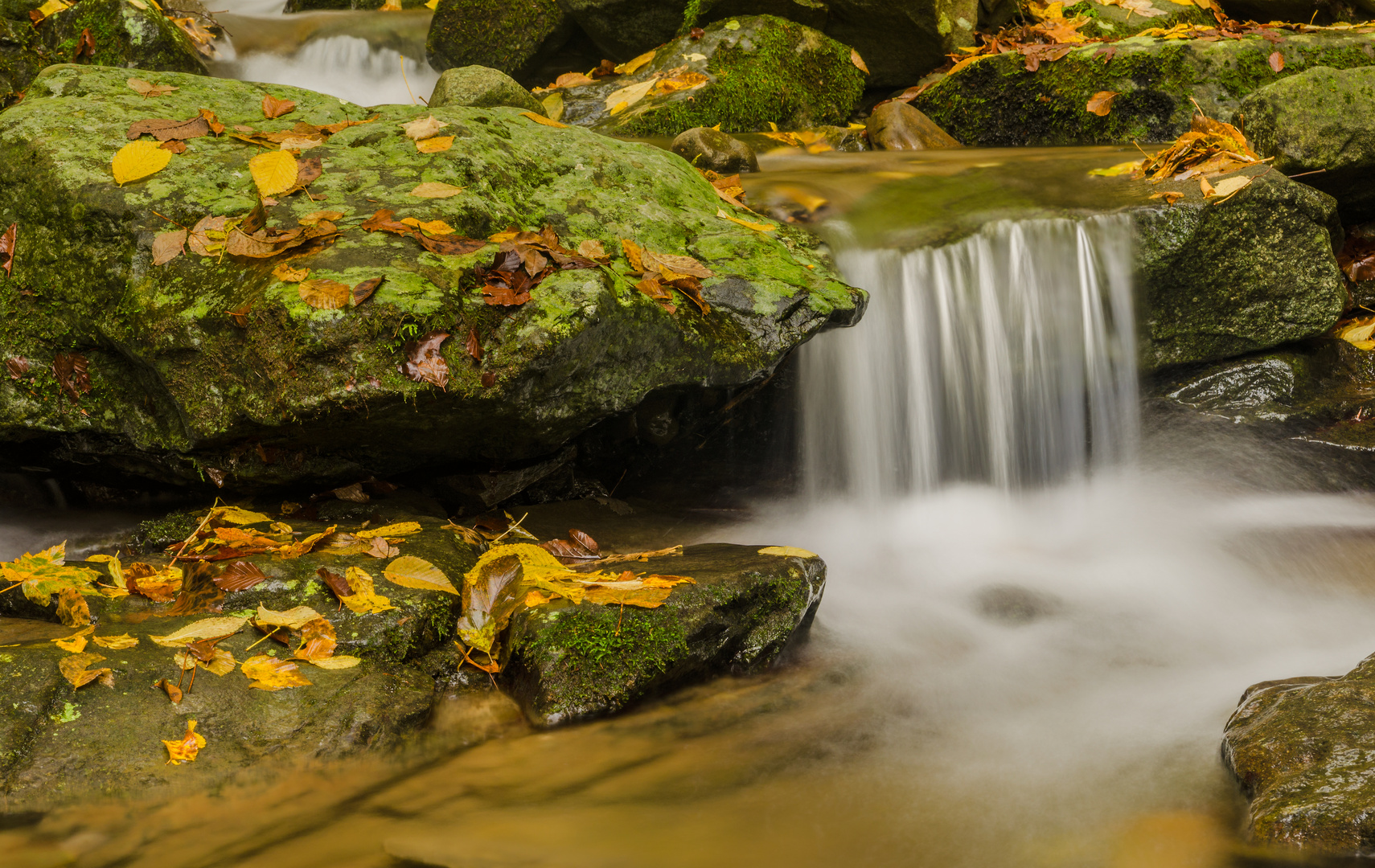 Torrente d'autunno