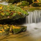 Torrente d'autunno