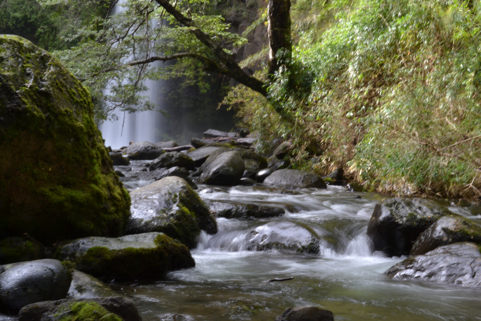 torrente de vida