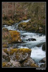 TORRENTE DE VIDA