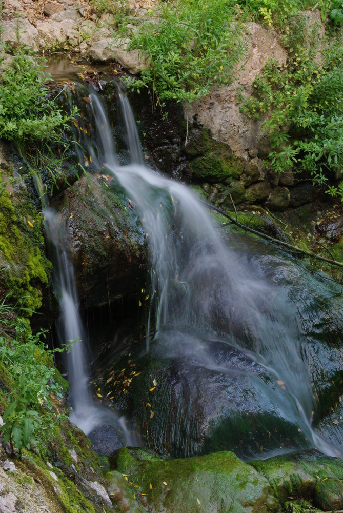 torrente