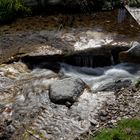 Torrente di Colmegna