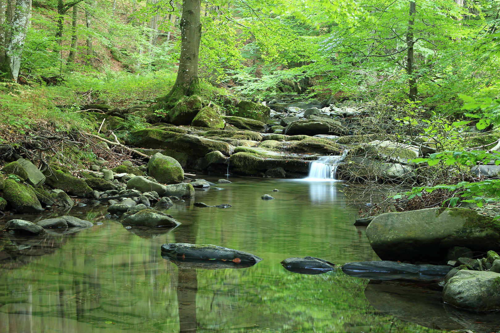 Torrente di montagna