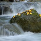 torrente di Ollomont