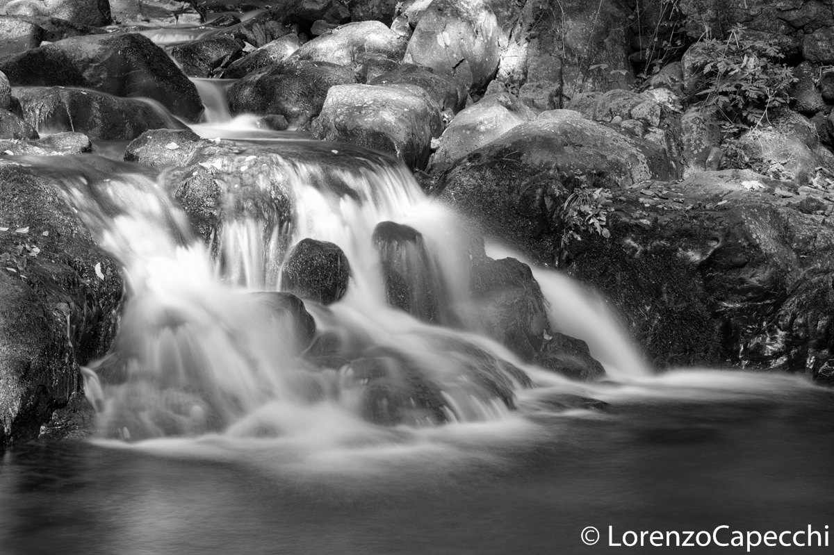 Torrente