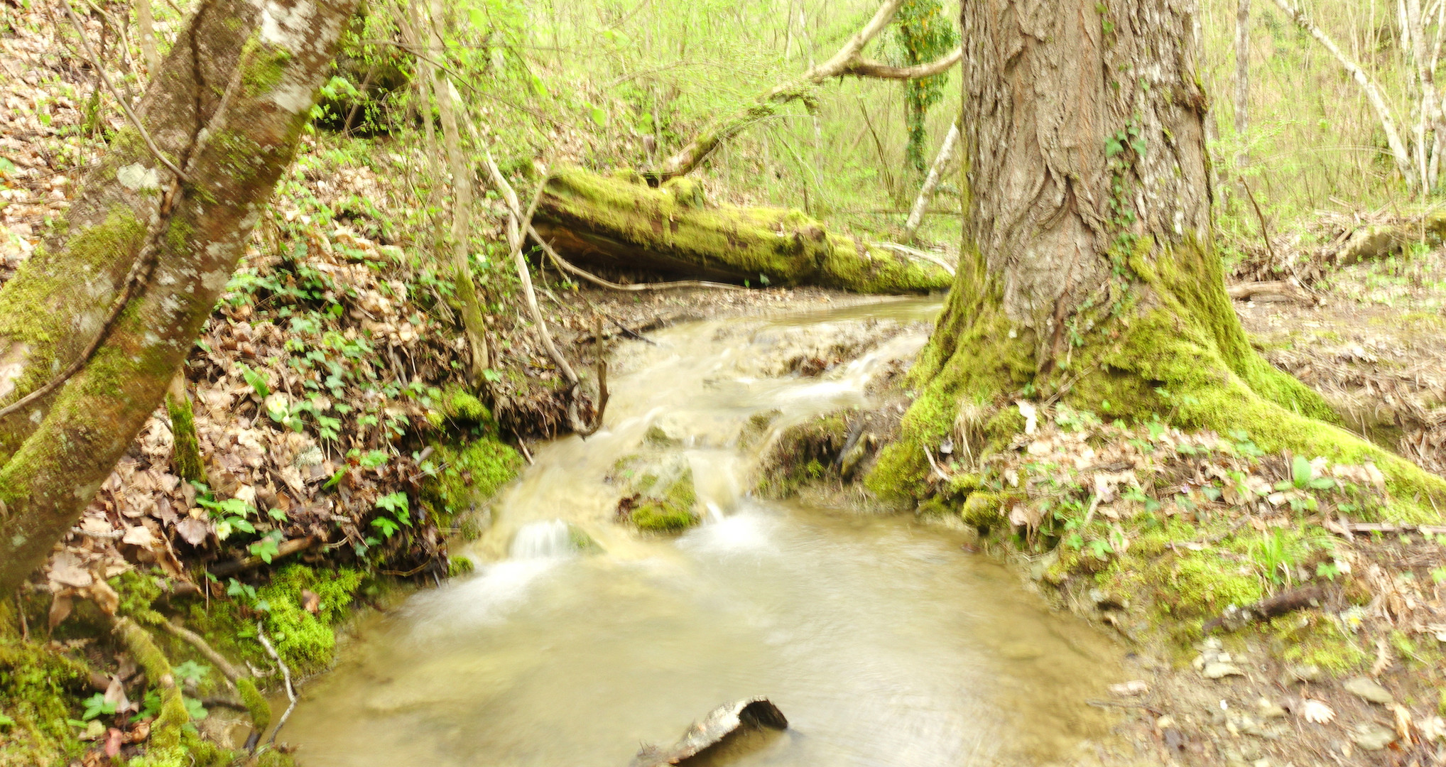 Torrente Erchi alla sorgente