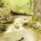 Torrente Erchi alla sorgente