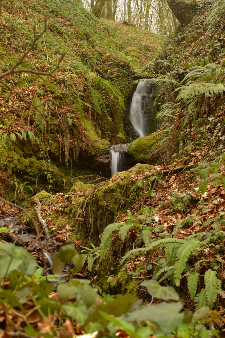 Torrente Fallà nei pressi delle sorgenti (Monti delle Serre, Calabria)