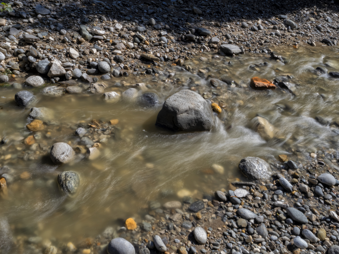 Torrente Froda