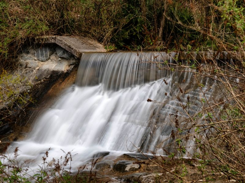 Torrente Froda