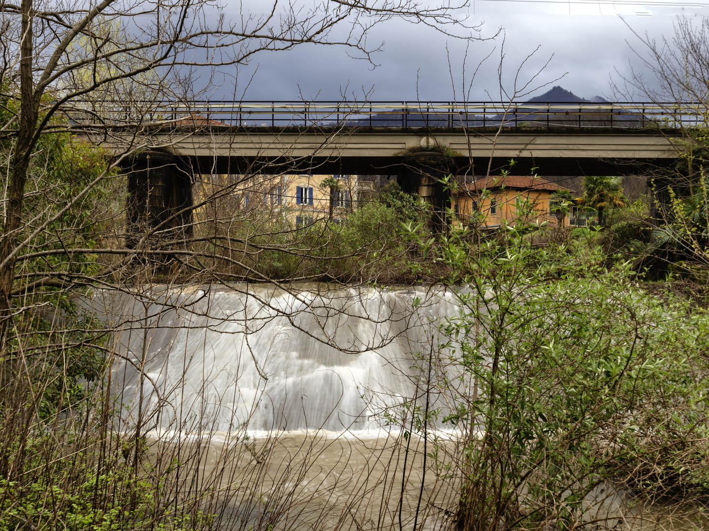 Torrente Froda