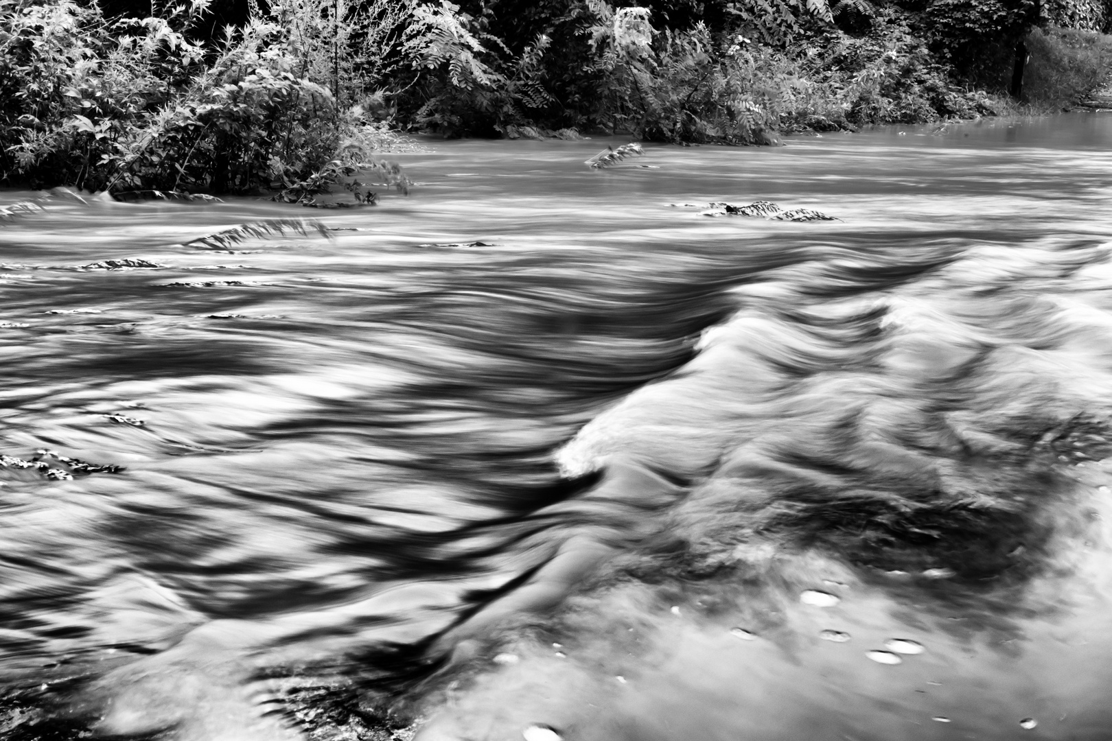 Torrente Froda in piena