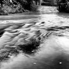 Torrente Froda in piena