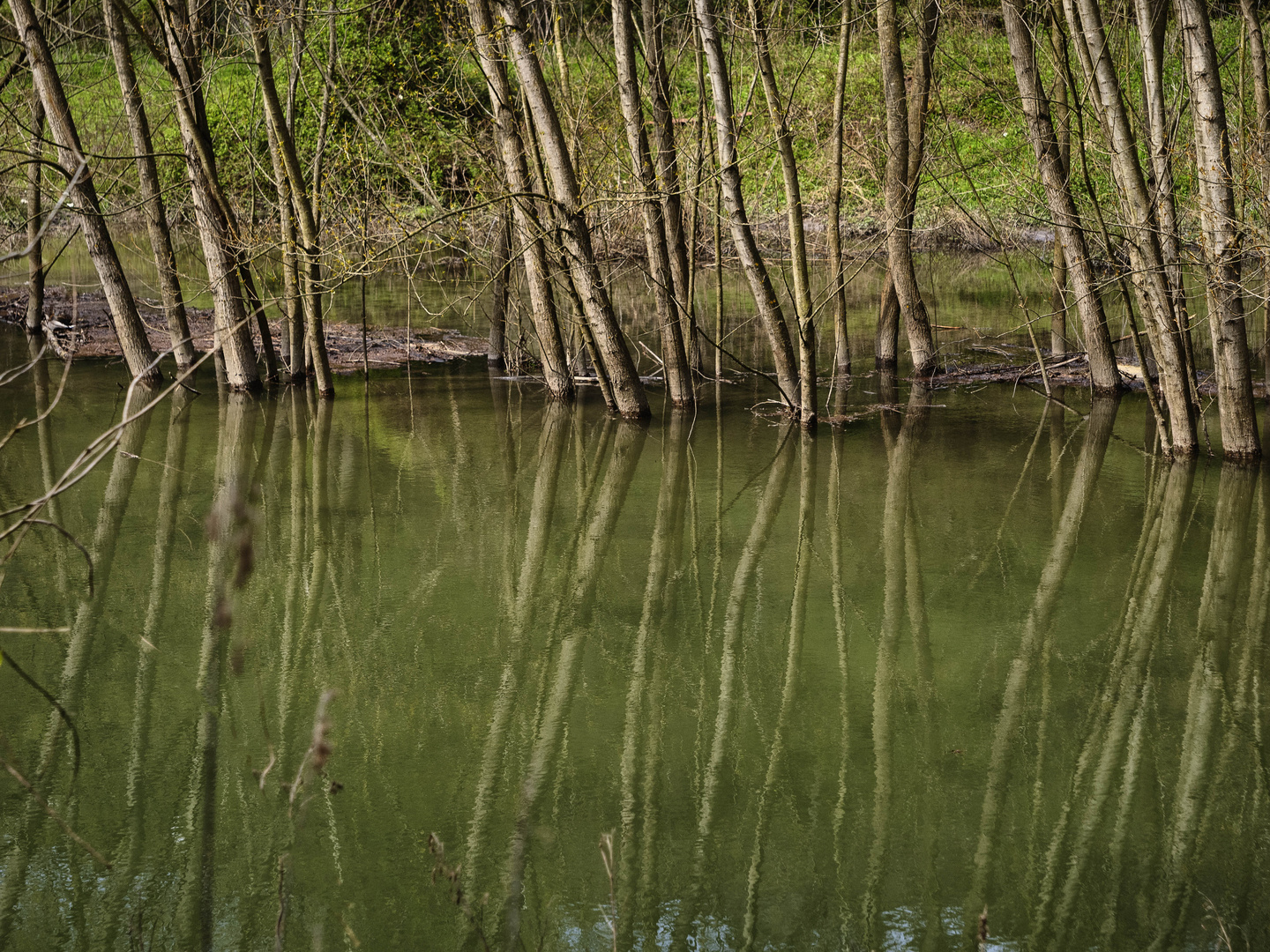 Torrente Froda, riflessi