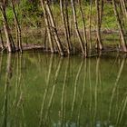 Torrente Froda, riflessi