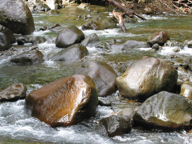 TORRENTE GUADALUPA