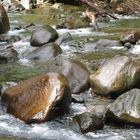 TORRENTE GUADALUPA