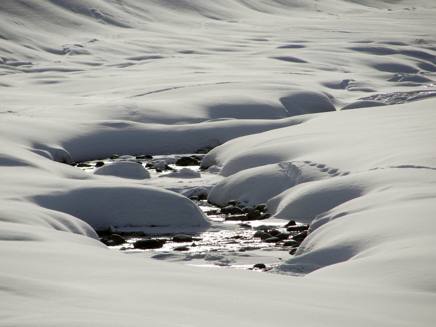 TORRENTE INNEVATO