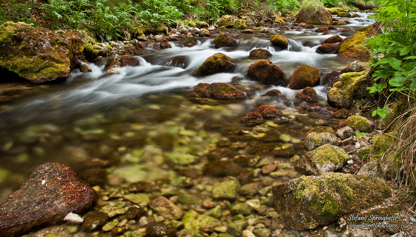 Torrente lungo la valle di Tovel