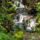 Torrente nei pressi dell'abbazia di S. Salvatore Rieti