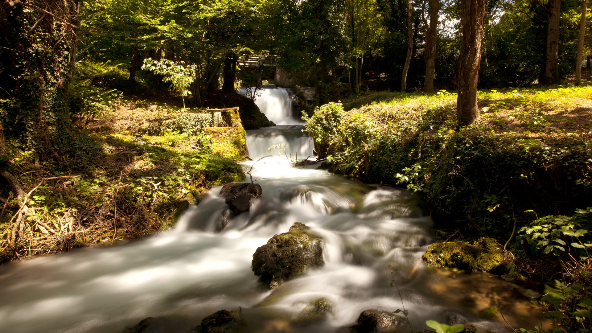 torrente nera