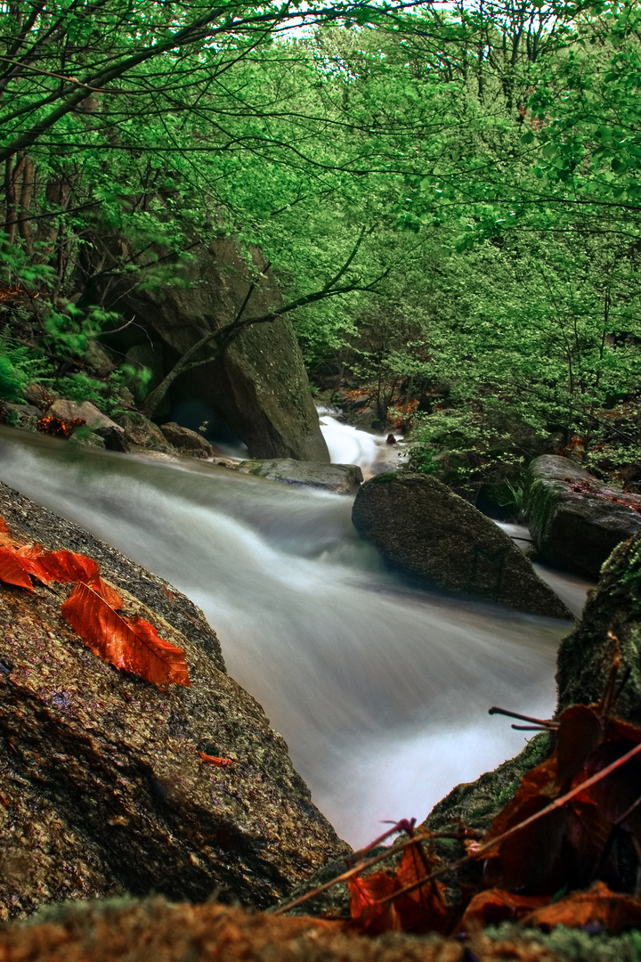 Torrente Noce