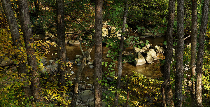 Torrente Reno, Appennino settentrionale.