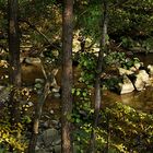 Torrente Reno, Appennino settentrionale.