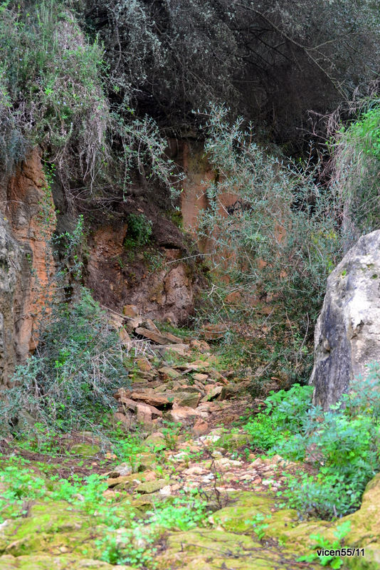 Torrente seco ( S´arenal)