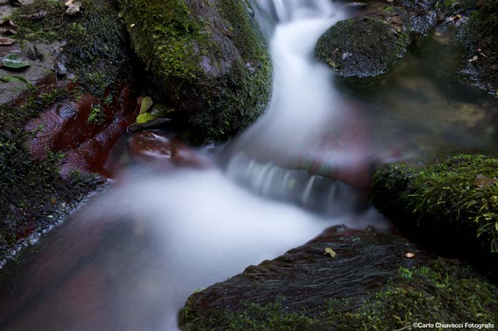 Torrente sotto casa 1