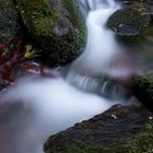 Torrente sotto casa 1