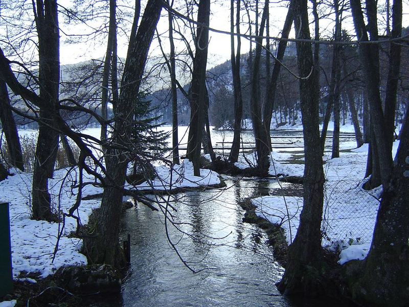 Torrente tra la neve