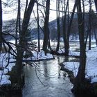 Torrente tra la neve