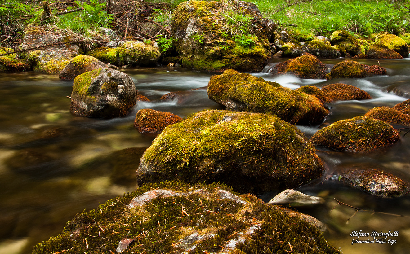 Torrente Tresenica