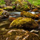 Torrente Tresenica